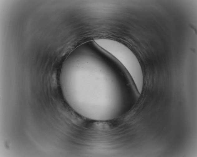 X0000103500520200809191948