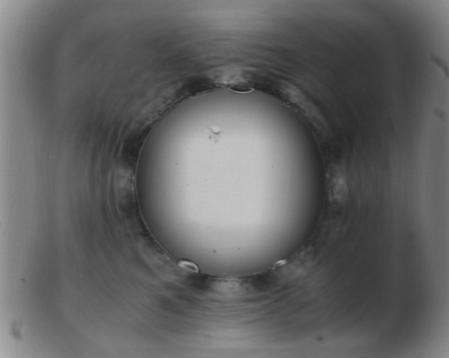 X0000103500521200809191948