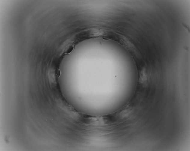 X0000103500524200809191948