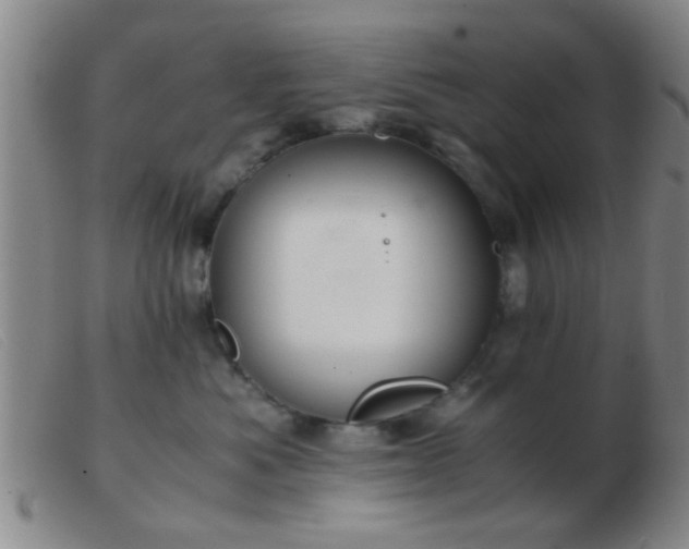 X0000103500525200809191948