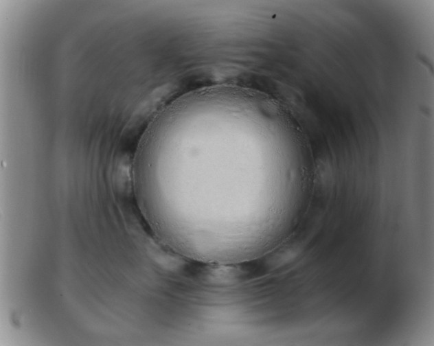 X0000103500527200809191948