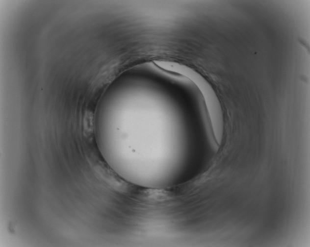 X0000103500528200809191948