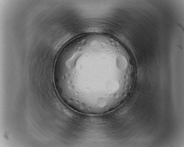 X0000103500529200809191947