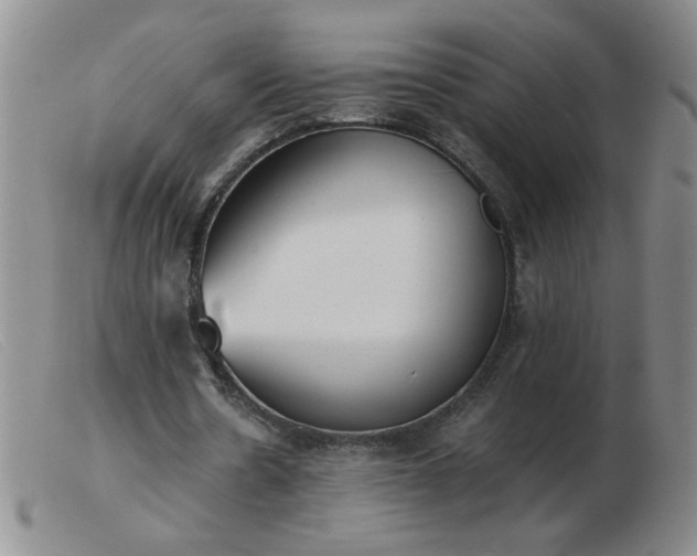 X0000103500530200809191947