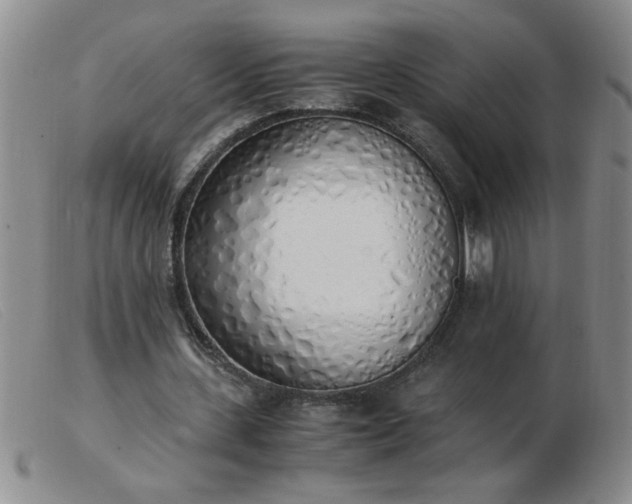 X0000103500531200809191947