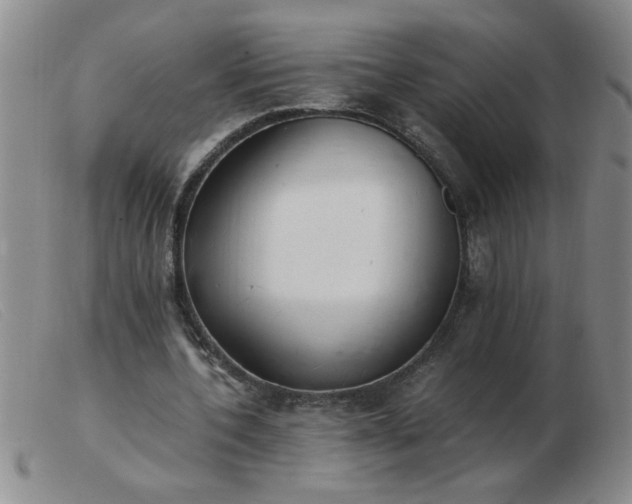 X0000103500532200809191947