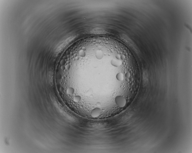 X0000103500533200809191947