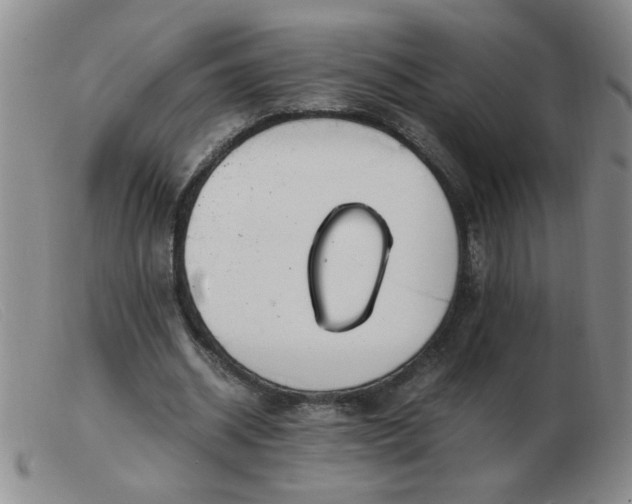 X0000103500534200809191947