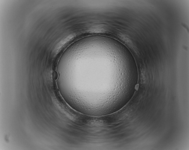 X0000103500535200809191947