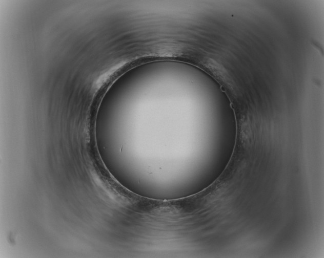 X0000103500536200809191948