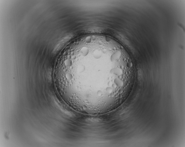 X0000103500537200809191948