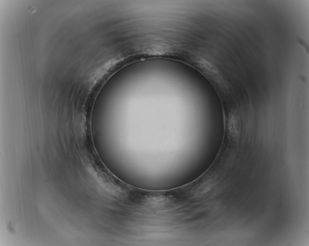 X0000103500540200809191948