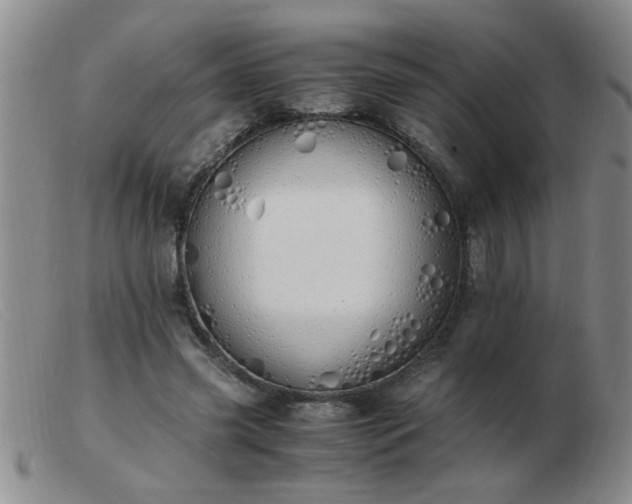 X0000103500541200809191948