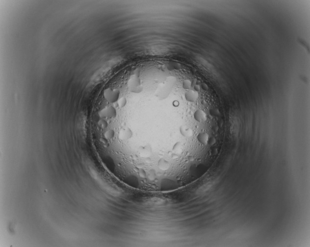 X0000103500542200809191948