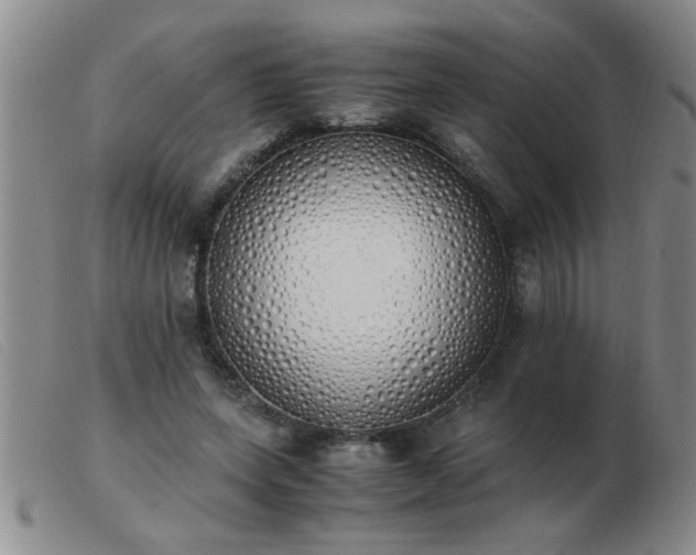 X0000103500543200809191948