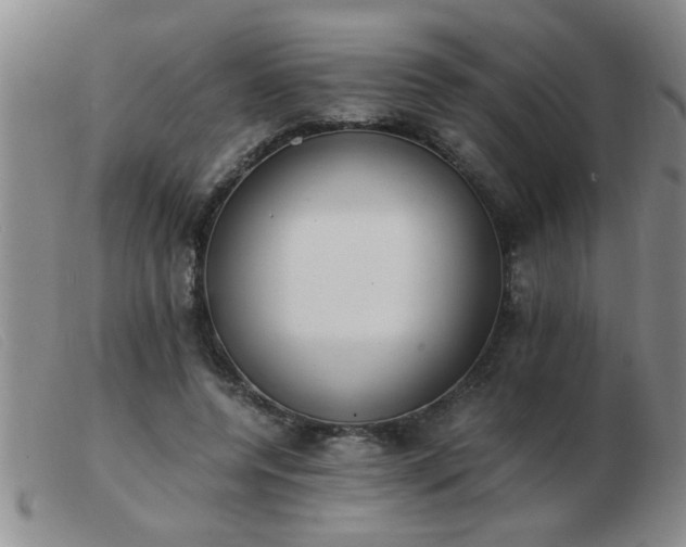 X0000103500544200809191948