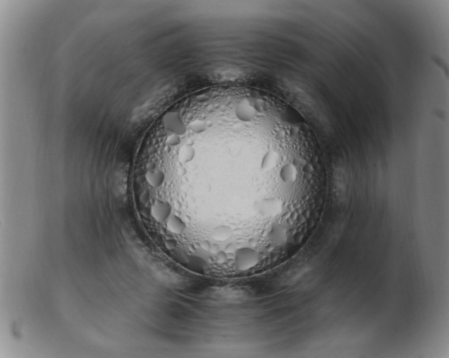 X0000103500545200809191948