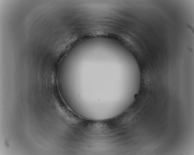 X0000103500546200809191948