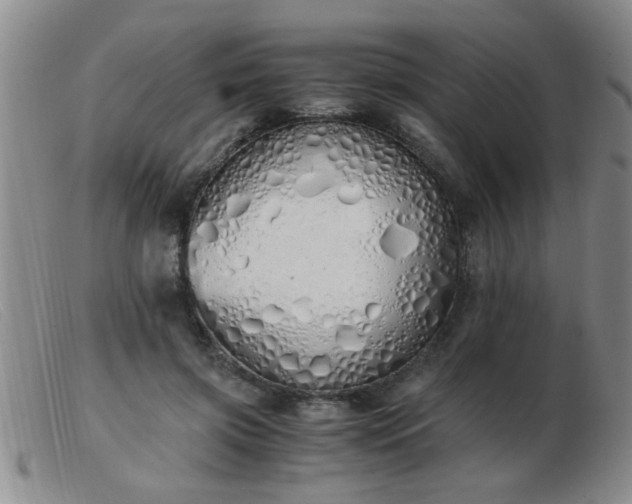 X0000103500549200809191948