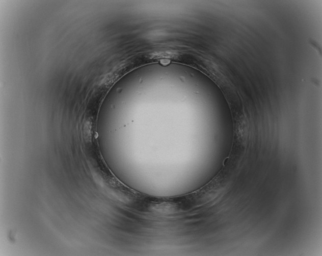 X0000103500551200809191948