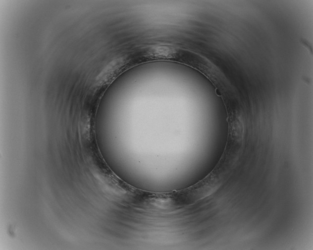 X0000103500552200809191948