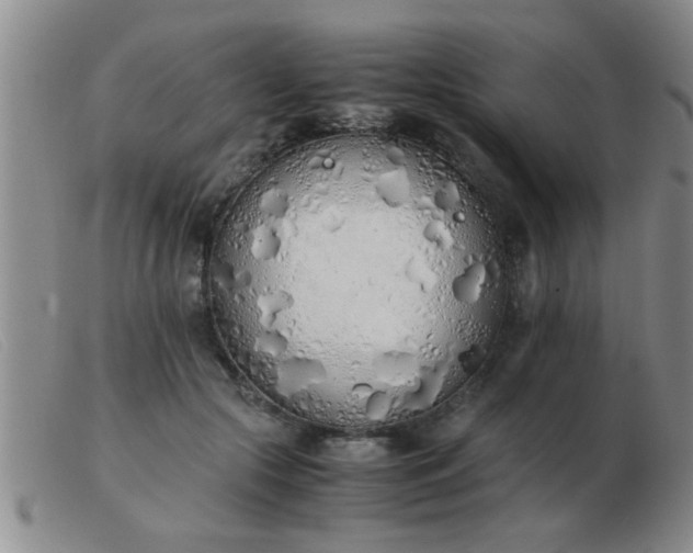 X0000103500553200809191948