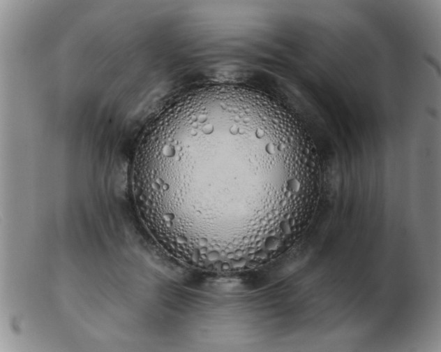 X0000103500554200809191948