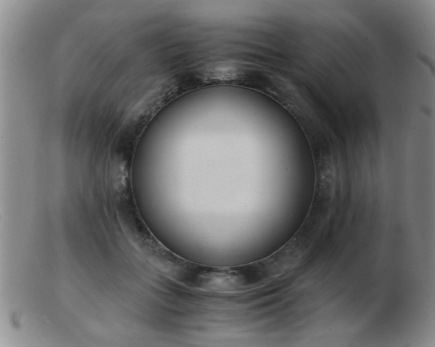 X0000103500555200809191948