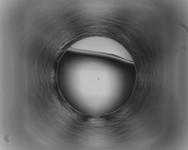 X0000103500556200809191948