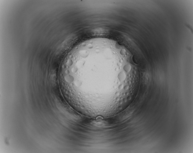 X0000103500557200809191948