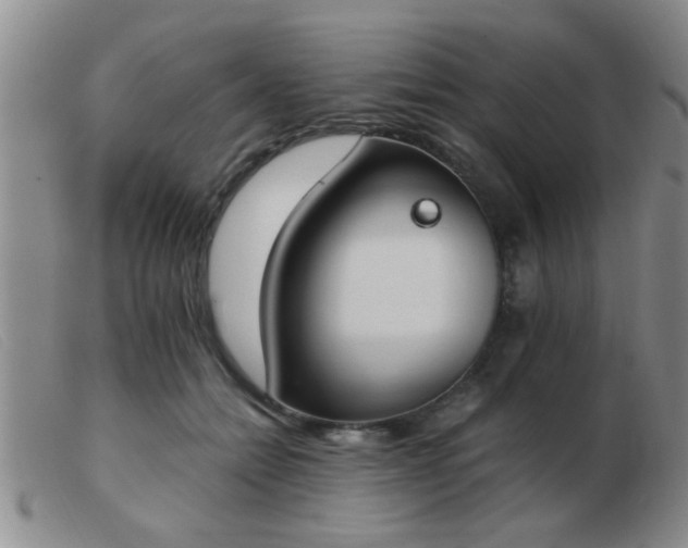 X0000103500558200809191948