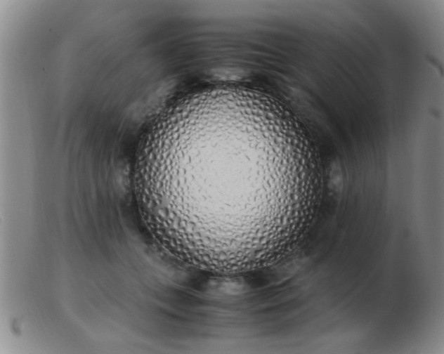 X0000103500559200809191948