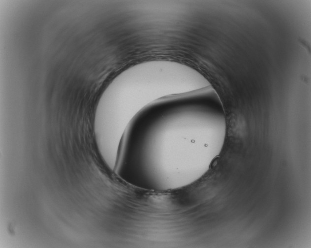 X0000103500560200809191948