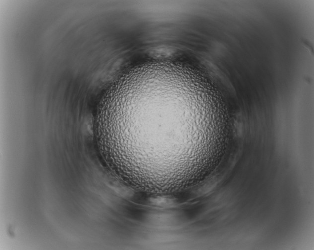 X0000103500561200809191948