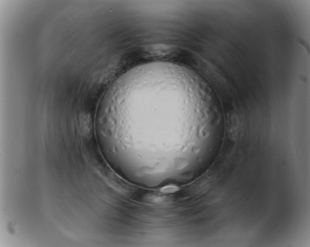 X0000103500563200809191948