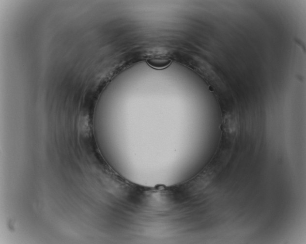 X0000103500564200809191948