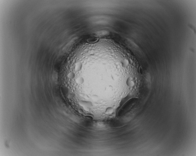 X0000103500565200809191948