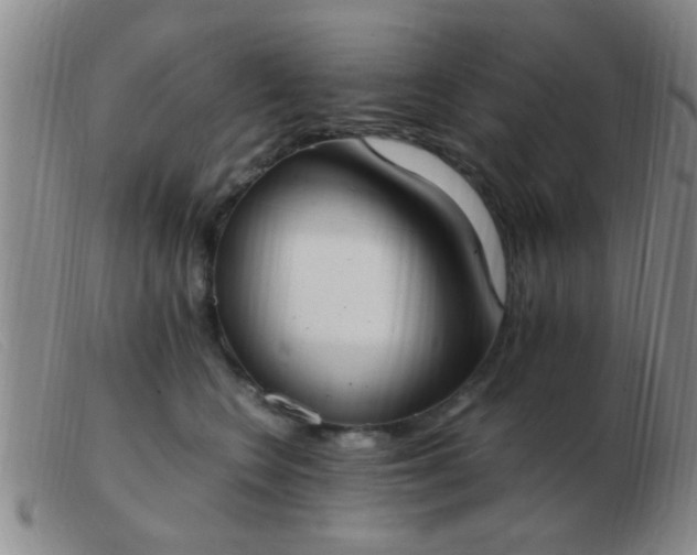 X0000103500566200809191948