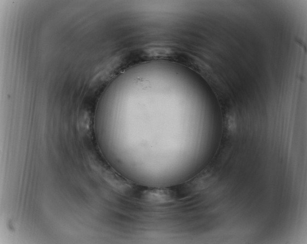 X0000103500567200809191948