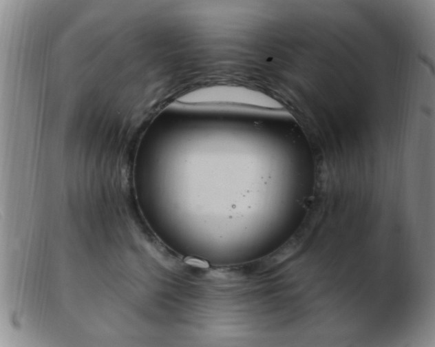 X0000103500568200809191948