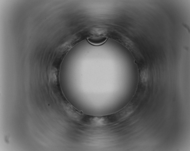 X0000103500570200809191948