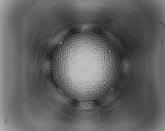 X0000103500571200809191948