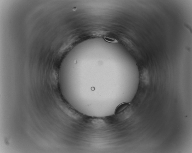 X0000103500572200809191948