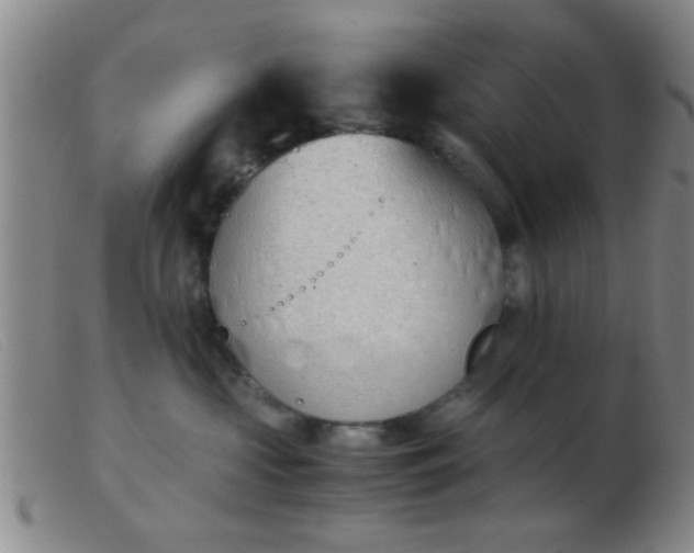 X0000103500573200809191948