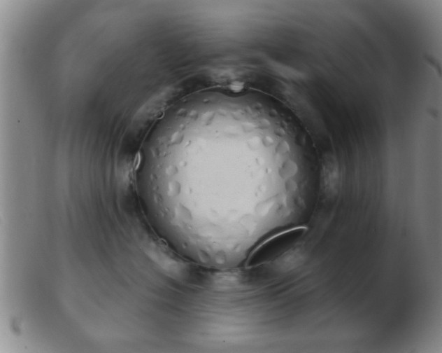 X0000103500574200809191948