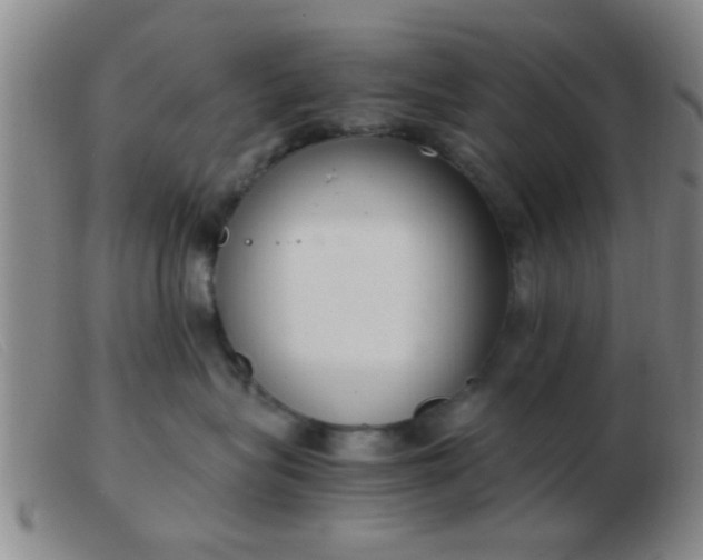 X0000103500575200809191948