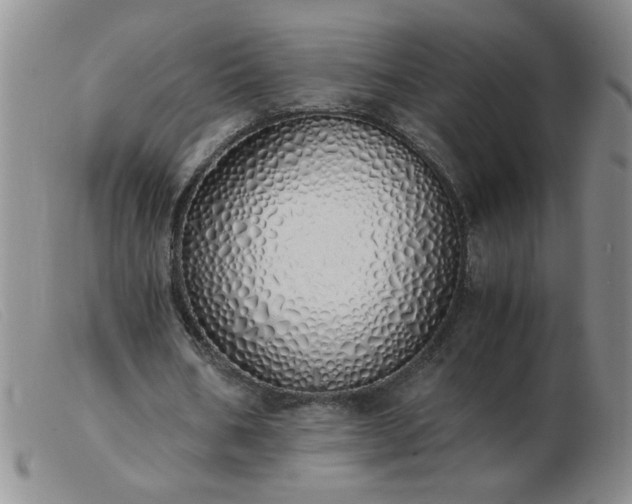 X0000103500578200809191947