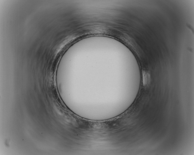 X0000103500579200809191947