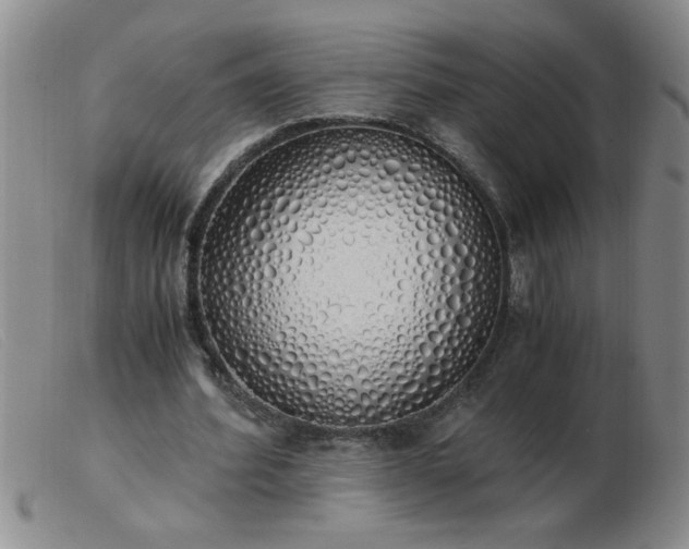 X0000103500580200809191947