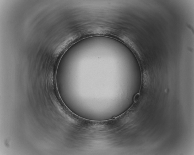 X0000103500581200809191947